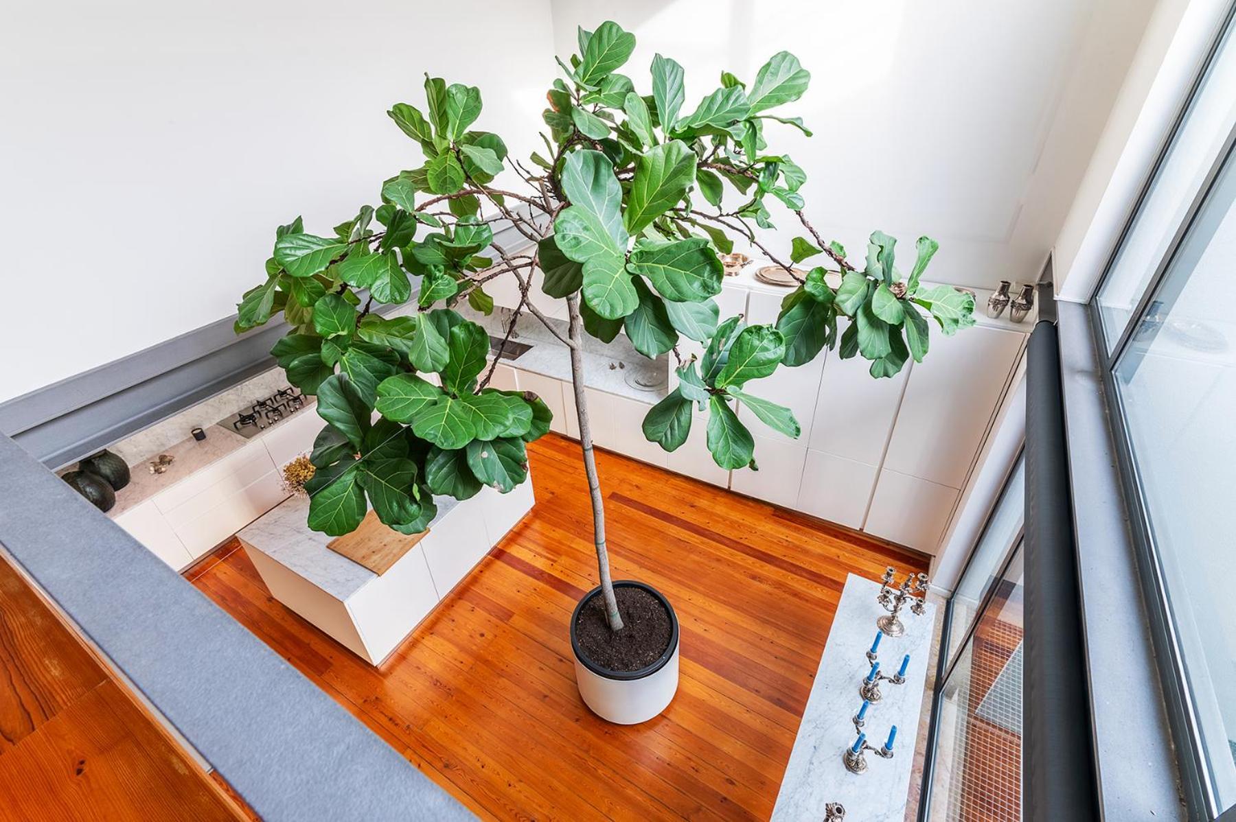 Appartement Luxurious Loft - River View