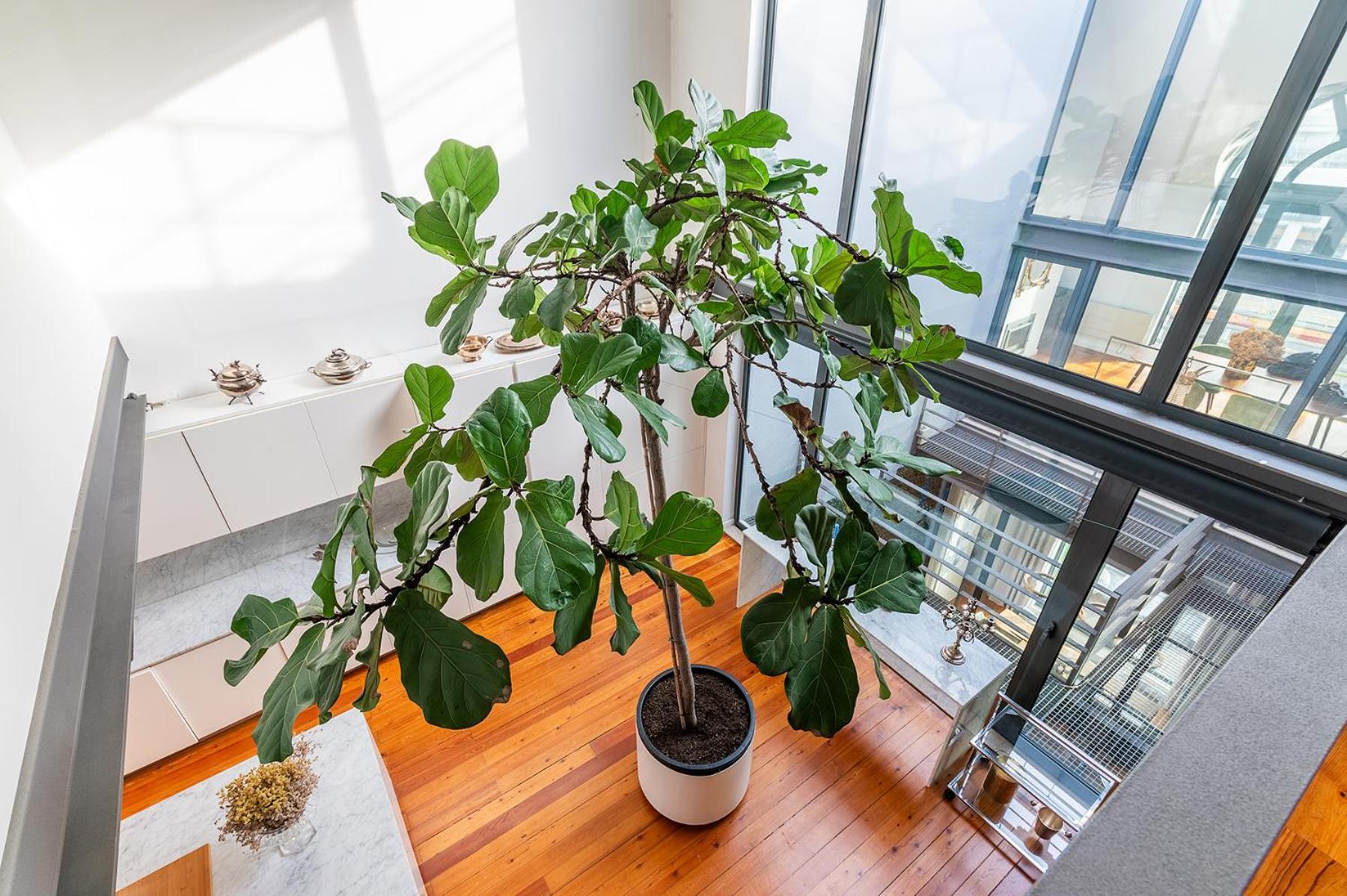 Luxurious Loft - River View * Lissabon